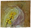 Primrose|2006|watercolour and pastel on paper|15 x 16.5 cm
